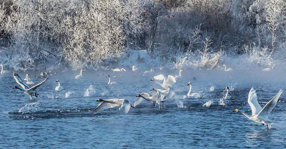 Алтайский край светлое фото Сказание об озере Светлом (Валентина Петровна Юрьева) / Проза.ру