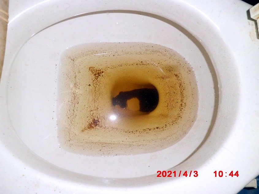 Унитазная матрица.