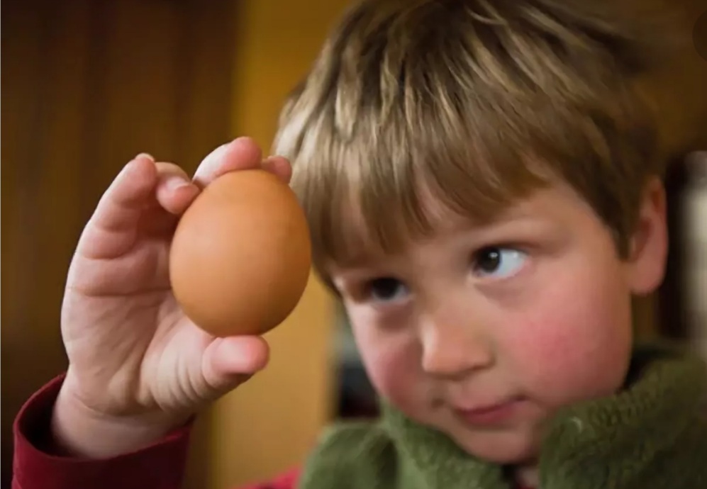 Яйцо для детей. Ест яйцо. Большое яичко мальчик