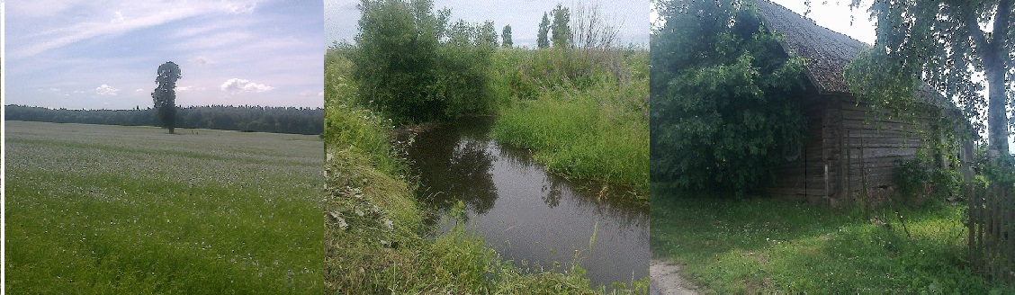 Родники Родов Ведрусских