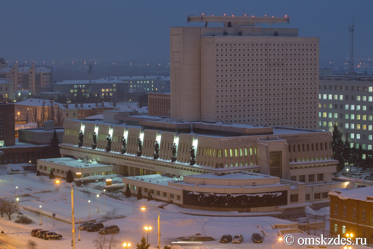 Пушкинская библиотека омск. Омская научная библиотека имени Пушкина. Библиотека имени Пушкина Омск фото. Библиотека Пушкина Омск фото.
