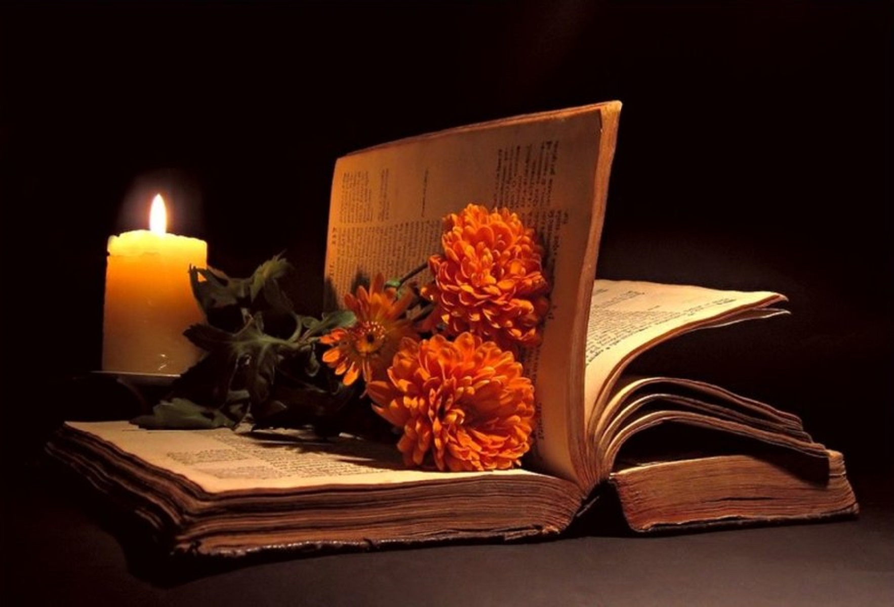 Произведения на вечер книги. Книга цветы. Книга гиф. Вечер с книгой. Книга свеча цветок.