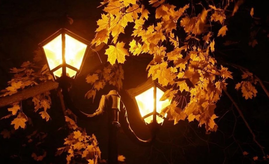 Конец сентября вечер. Осень ночь. Осенний вечер. Вечерний листопад. Сентябрь вечер.