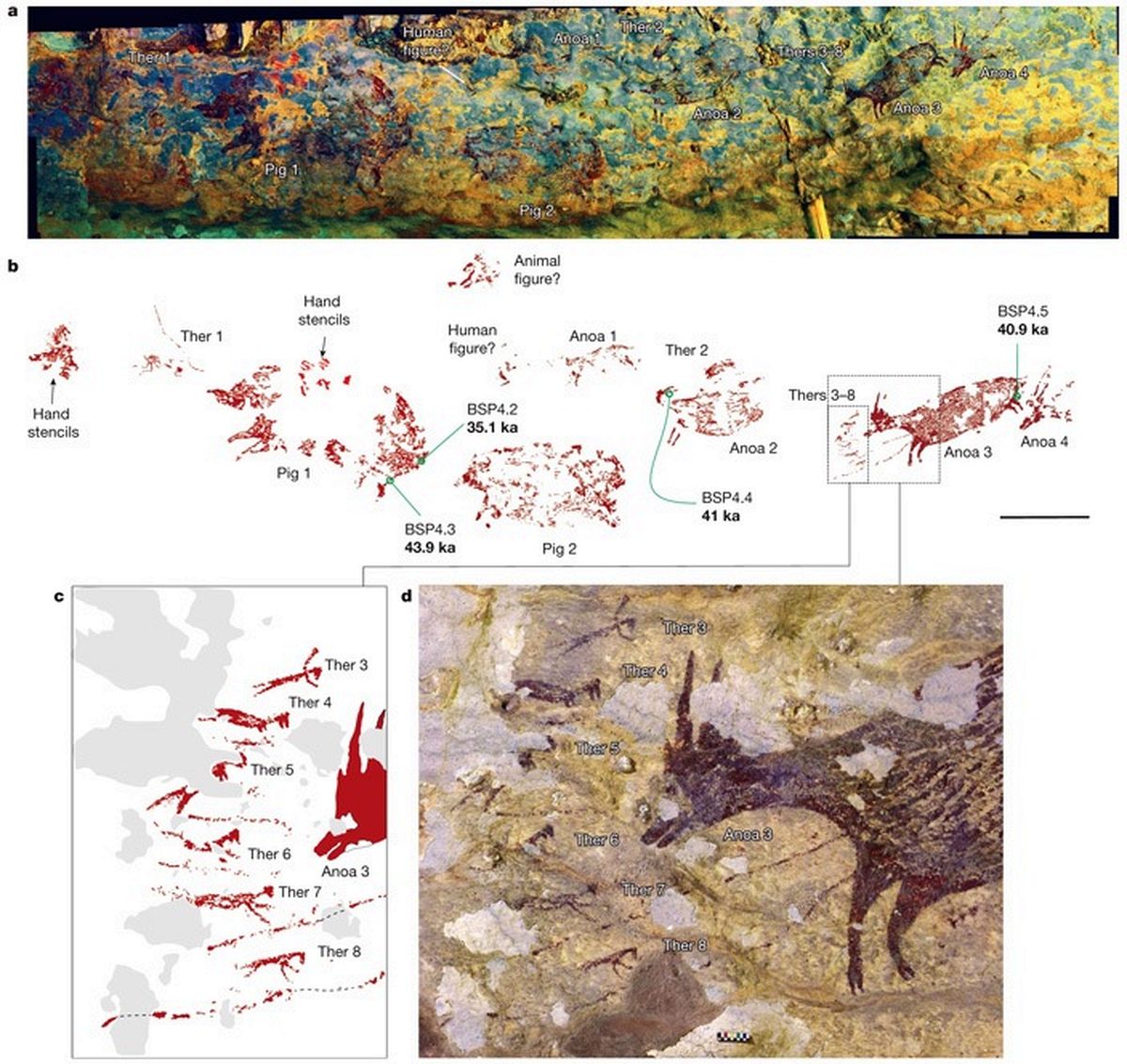 ХР Смысл и значение понятия собака 1 Шакал