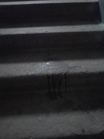 Краска воспоминаний