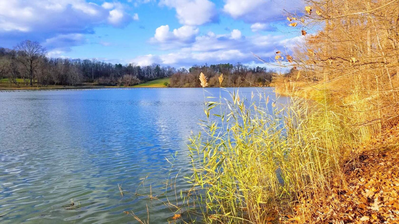 Афоризмы о женщине и мужчине, продолжение