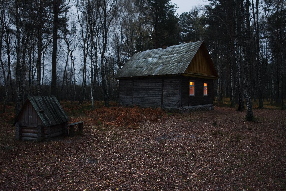 Слава жил возле леса и часто. Лесная сторожка. Дом лесника в лесу в России заброшенные. Чернобыль сторожка. Изба в лесу.