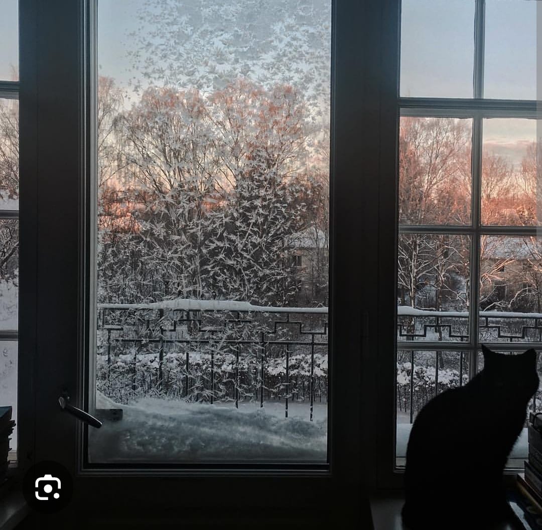 Глаза косули