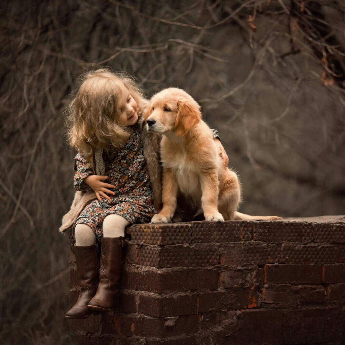 Немая сцена