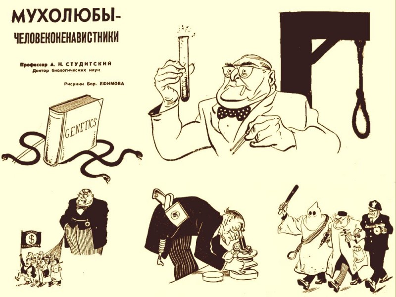 Ген воина... ген маниака