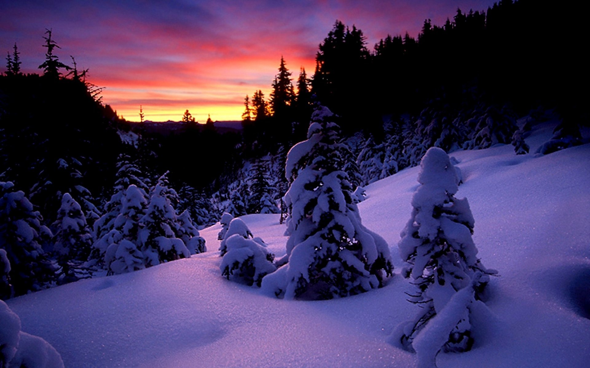 Сугробы вечером. Красивая зима. Зимняя ночь. Зимний лес. Зимний пейзаж.