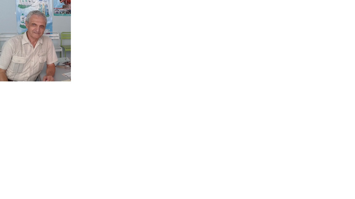 Моё отношение к лошадям