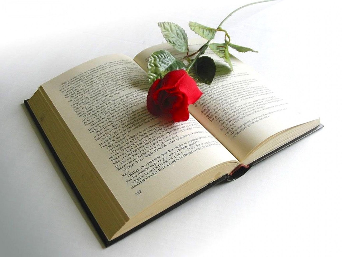 Роза на книге