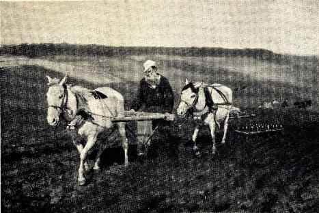 Человек Экология души и тела