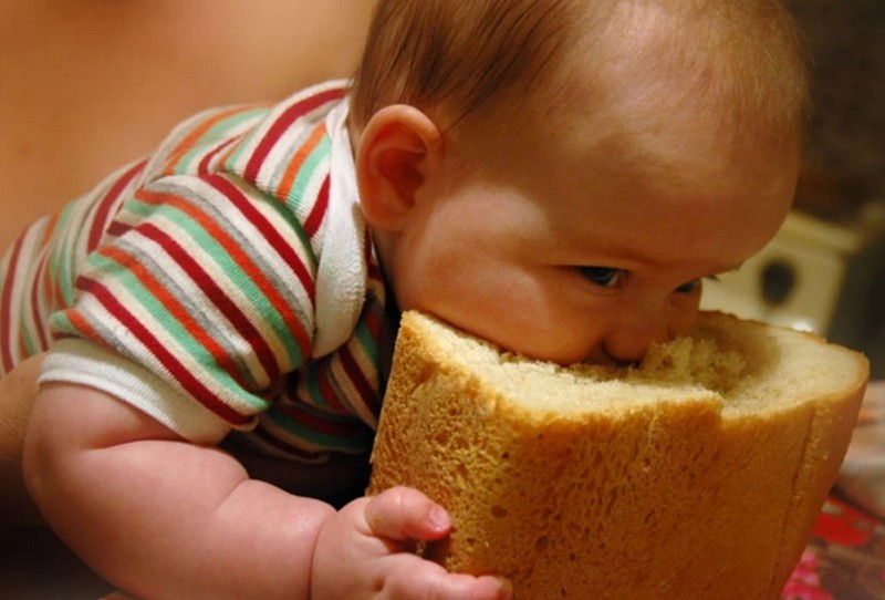 Блокадный хлеб стихи. Вредный хлеб. Нетронутая стена трав уменьшалась и редела. Она ела не спеша радуясь куску хлеба. Стена трав уменьшалась и редела.