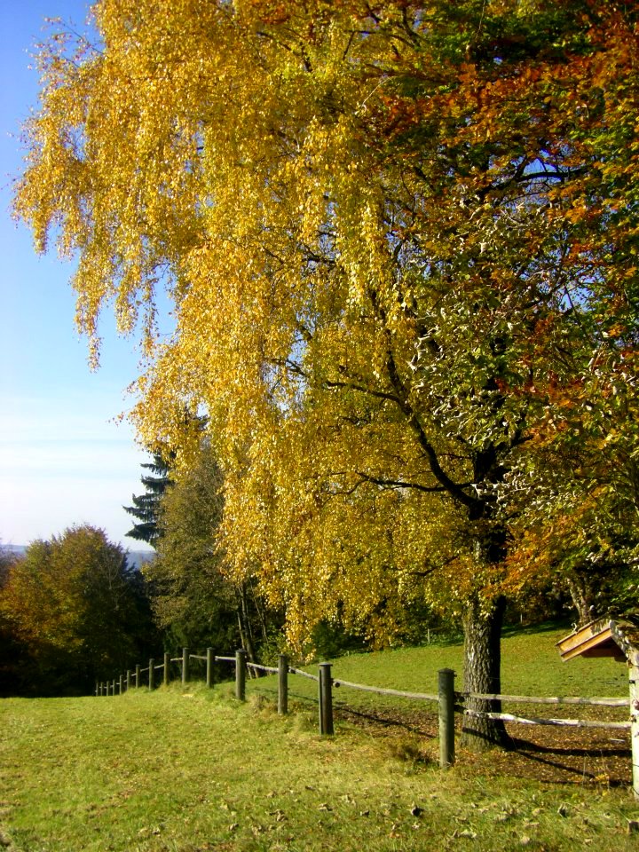 Перезагрузка