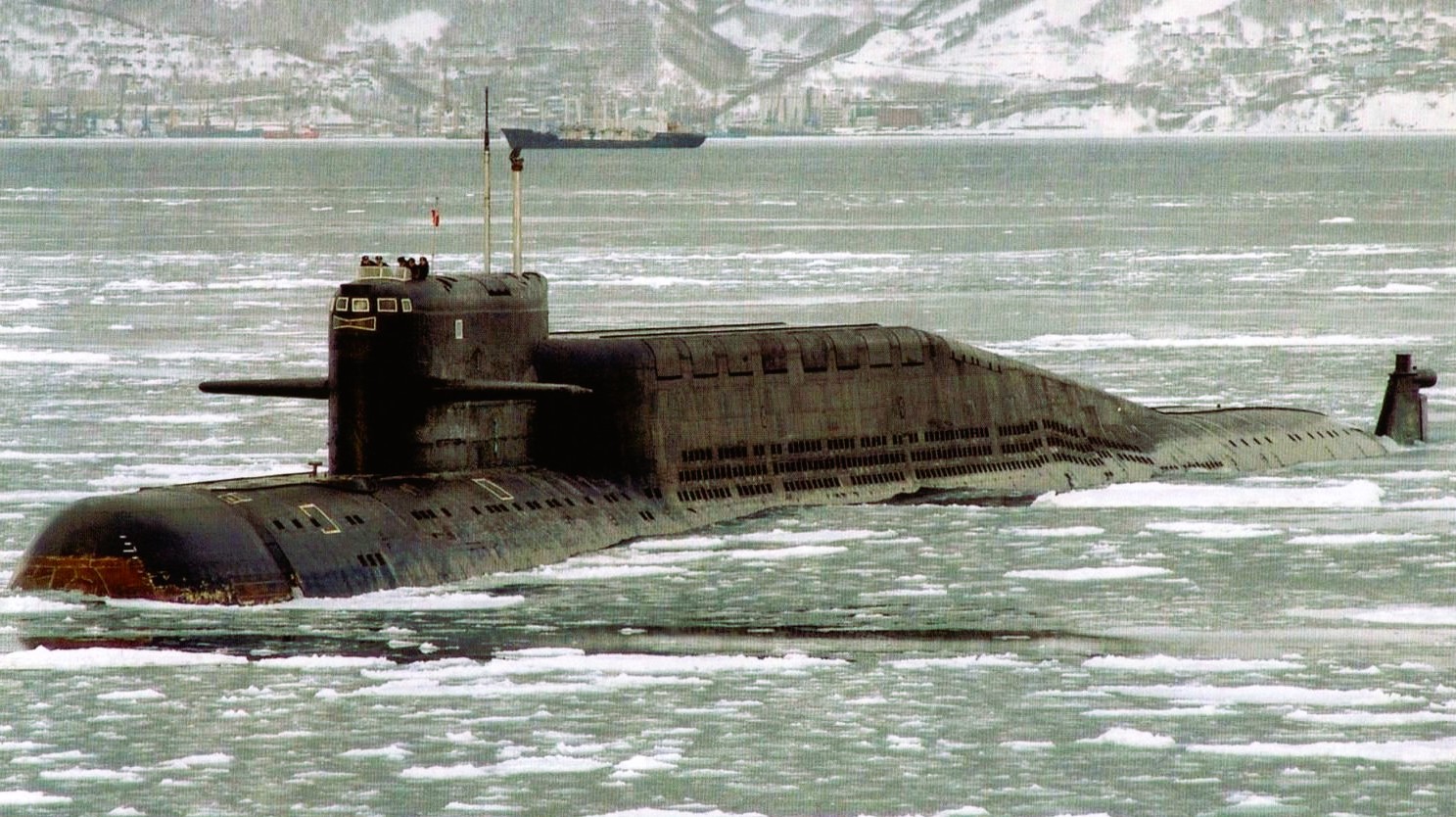 Море на двоих. Камни Козлова