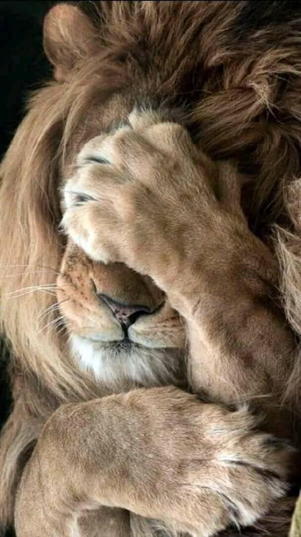 Исповедь русофоба...