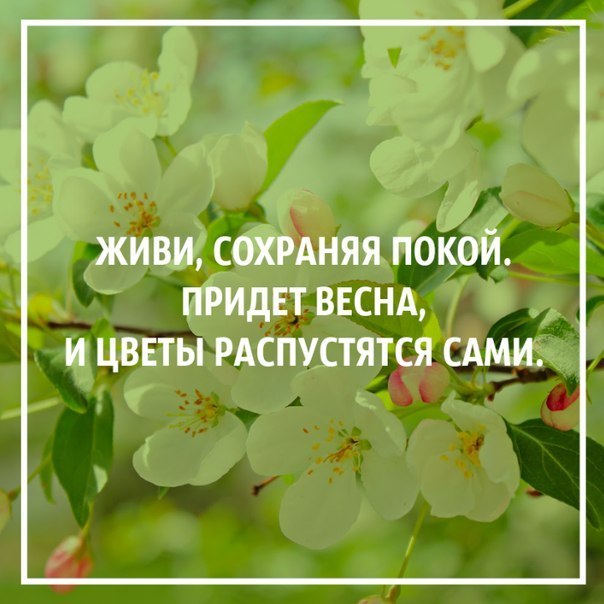 Знакомства Весна Скачать Бесплатно Комсомольск