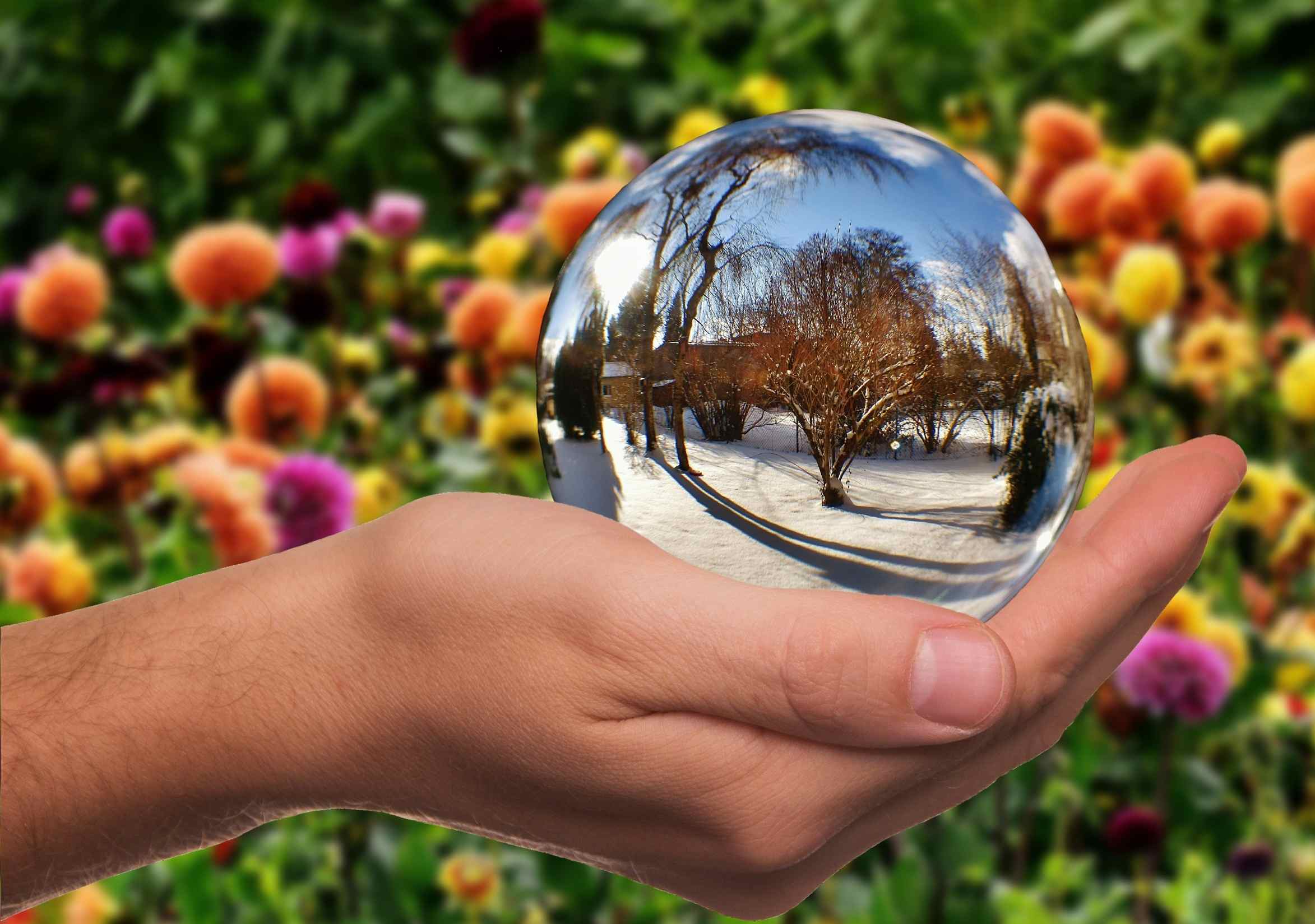 Посмотрите сквозь призму вокруг себя. Природа в стеклянном шаре. Стеклянный шар в руке. Природа в руках. Шар в природе.