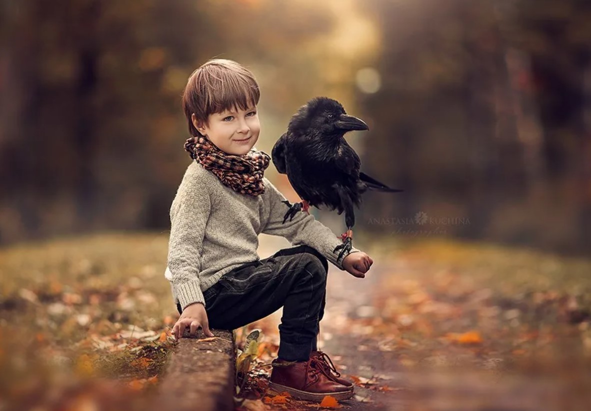 Мальчик и птица суть