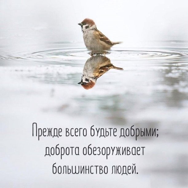 Добрым можно только стать примеры Сказка о поступке бедного юноши Хакима (Сергей Газукин) / Проза.ру