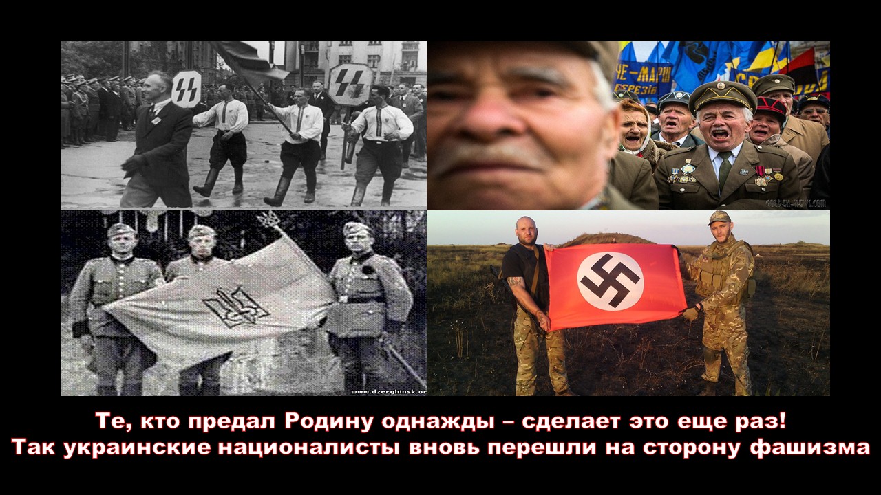 Предатель смешные картинки