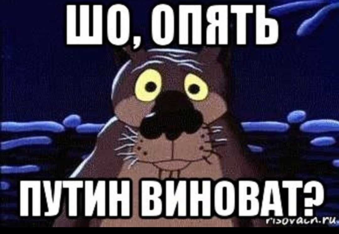 Это Путин виноват