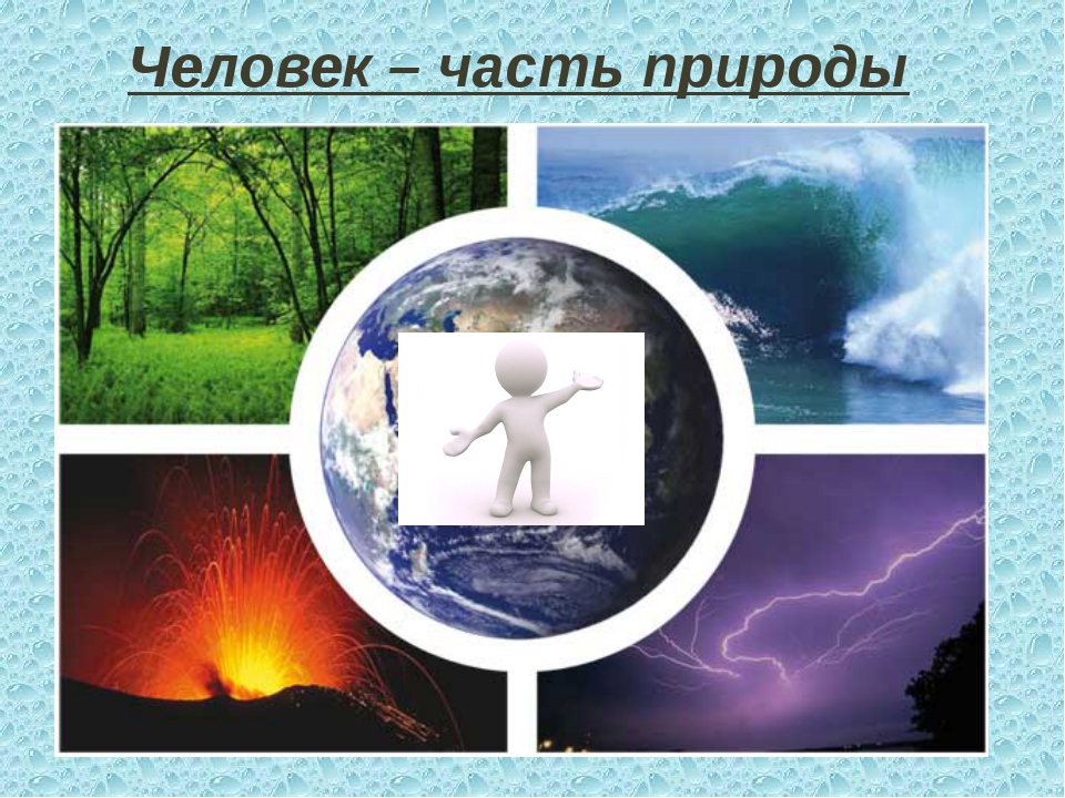 Общество не зависит от природы. Человек часть природы. Человек часть живой природы. Человек часть природы презентация. Части природы.