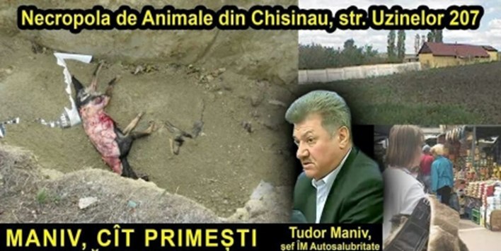 Как я стал зоозащитником. Ч. 3