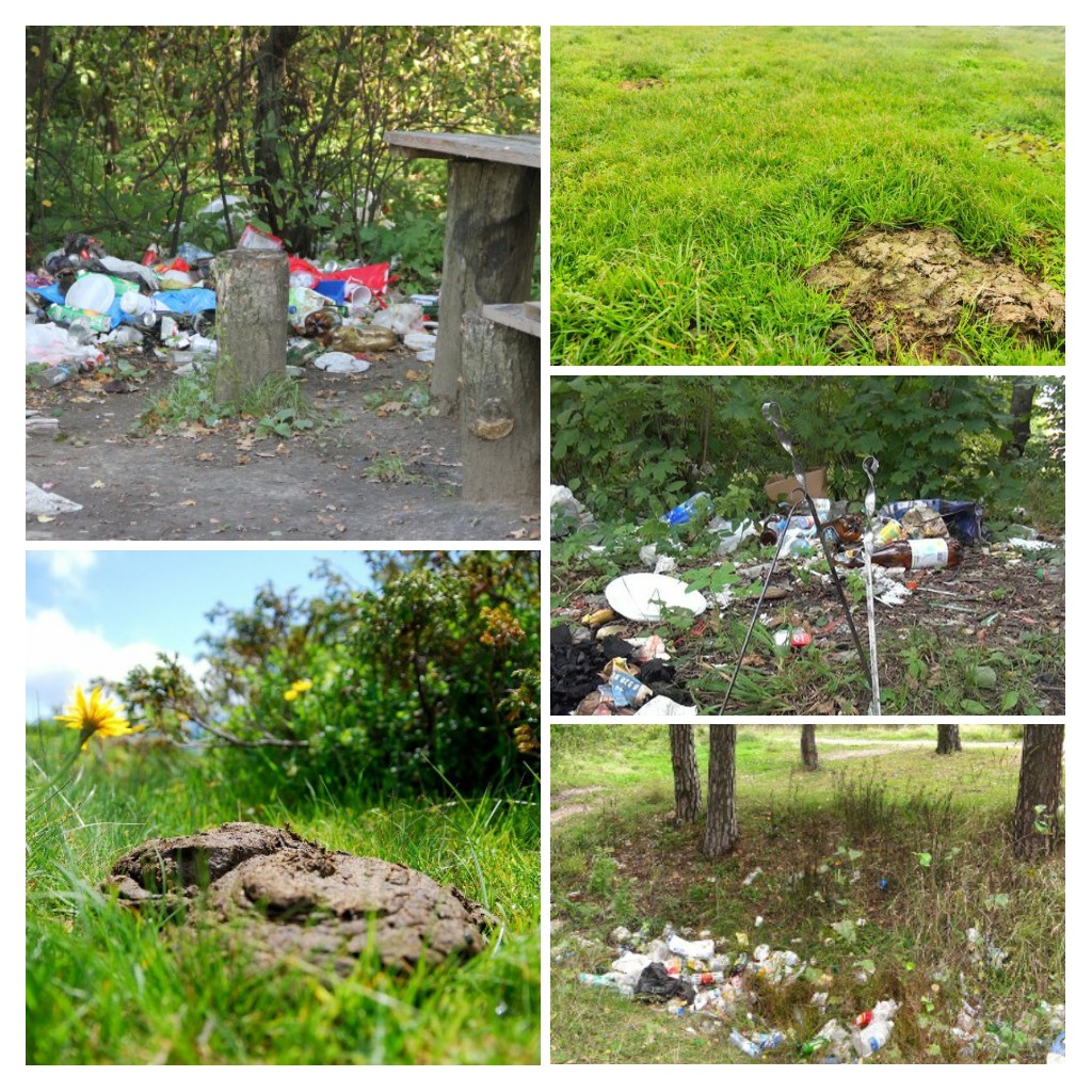 Великое стадо запотевшего забрала