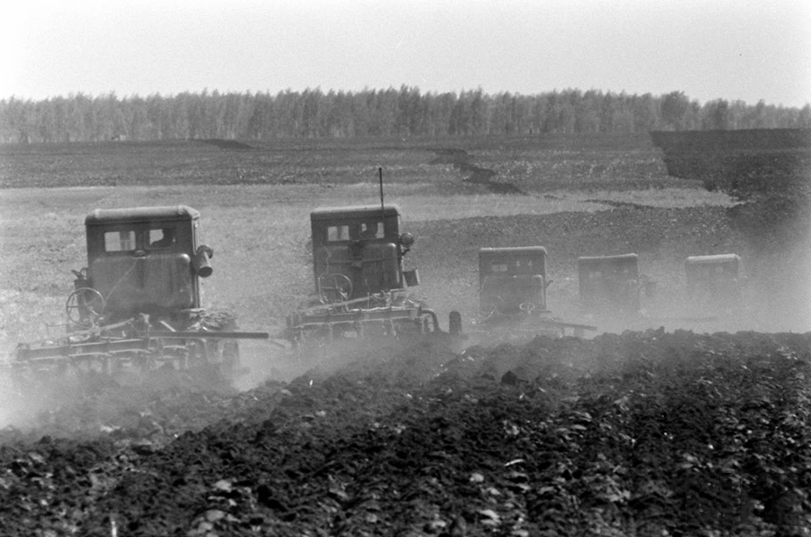 Освоение целины фото