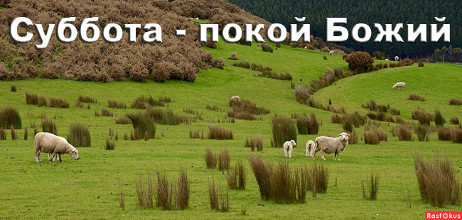 С днем субботнего покоя. Благословенной субботы открытки. Суббота покой. Открытки с субботним днем. Уроки в субботу.