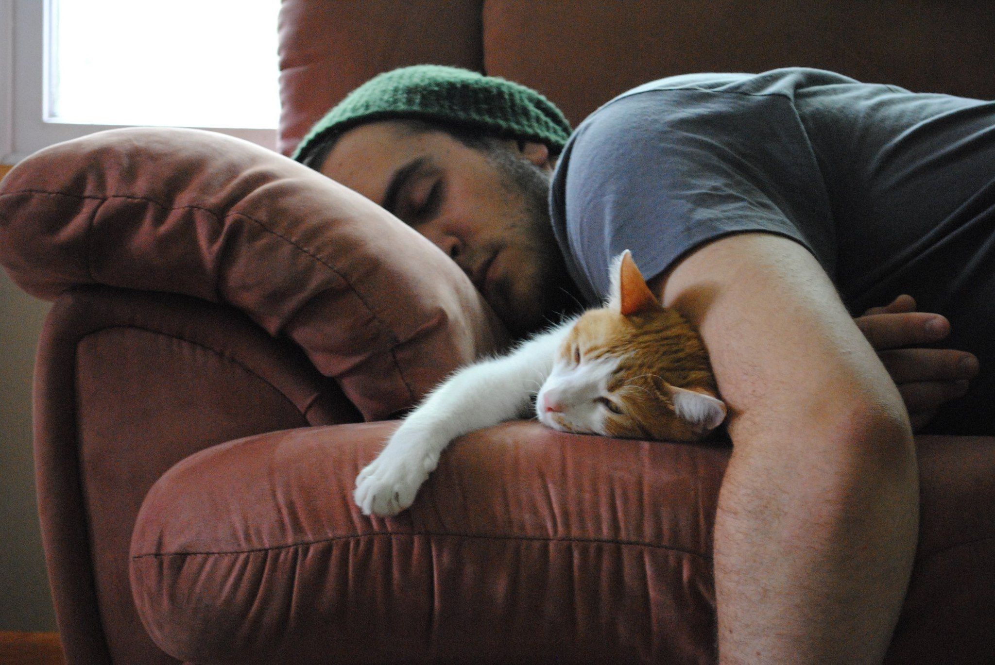 Спят на диване ночью. Парень с котом на диване. Парень лежит с котом.