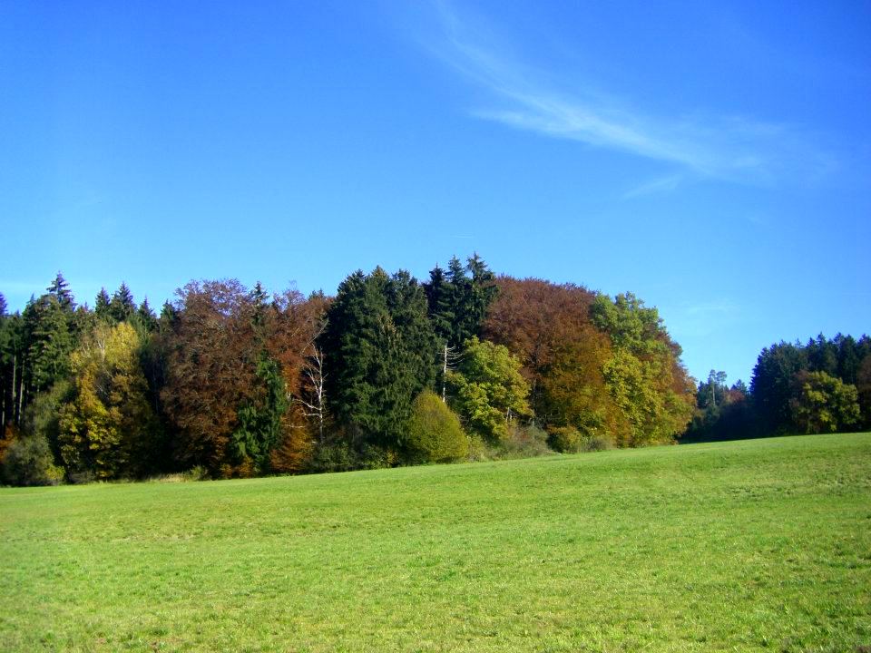 Иди куда хочешь