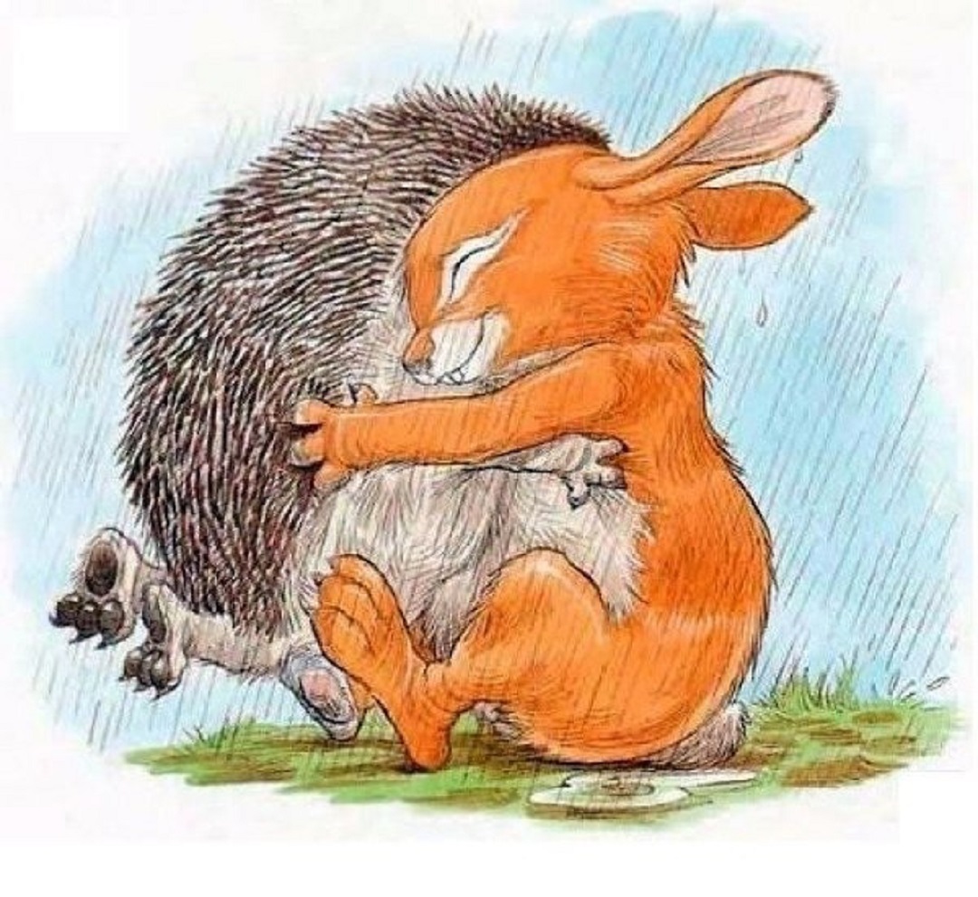 Продолжай обнимать пока не наступит утро. Заяц обнимает ежика. Ежик и заяц. Ежик обнимает. Зайчик и Ёжик.