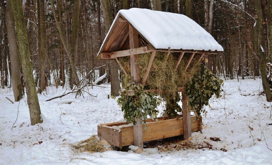 Всемирный день защиты животных Куршская Коса - национальный парк