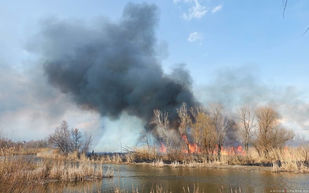 Пожар паустовского. Лесной пожар у реки. Пожар возле реки. Лесной пожар около речки. Река Болотная пожар.