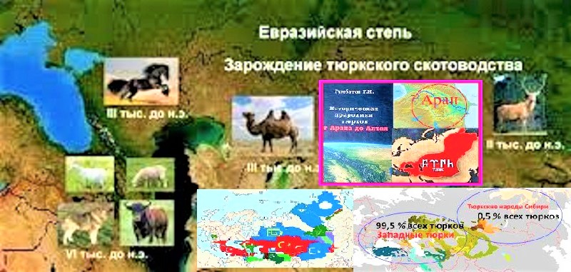 Степная евразия. Евразийская степь. Евразийская степь на карте. Великая Евразийская степь. Карта Евразийский степей России.