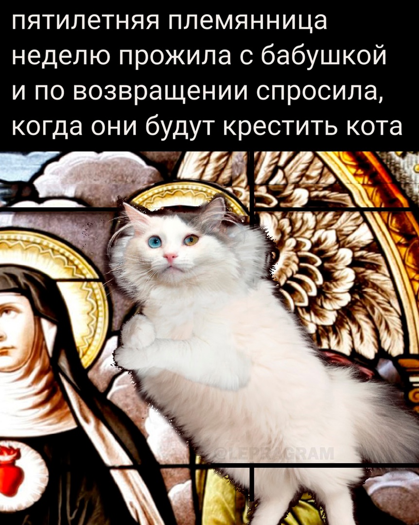 Не совсем гедонизм, ибо вынужденное чота такое