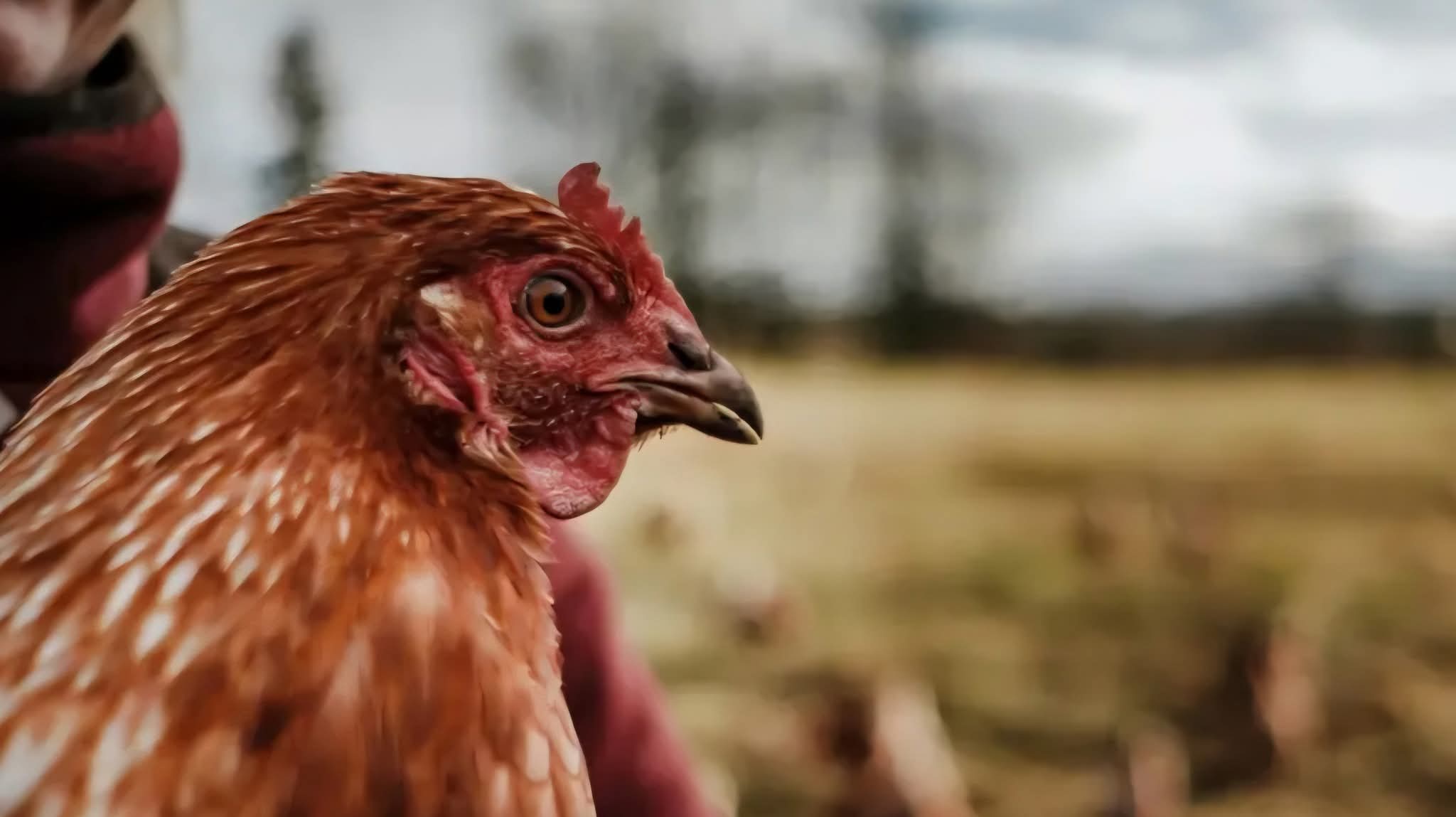 Дед Мороз рос как обычный пацан Final Version