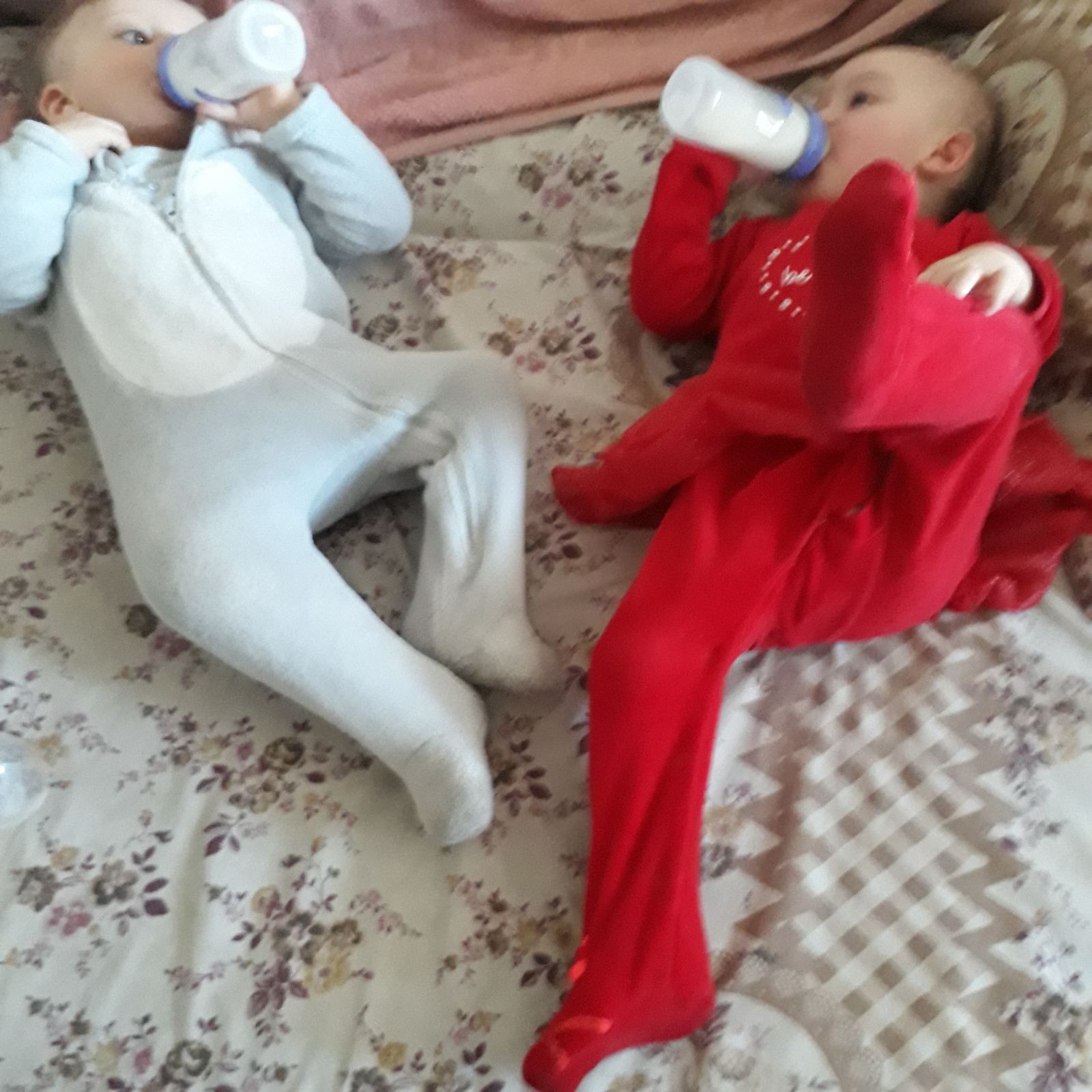 Новогодние программы