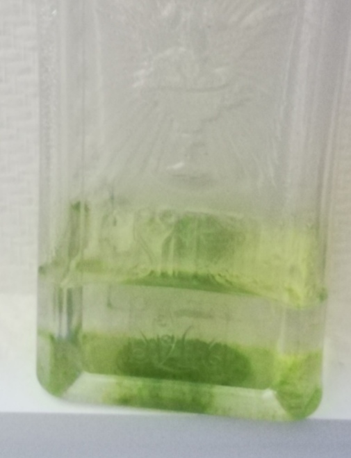 Вода живая и мёртвая