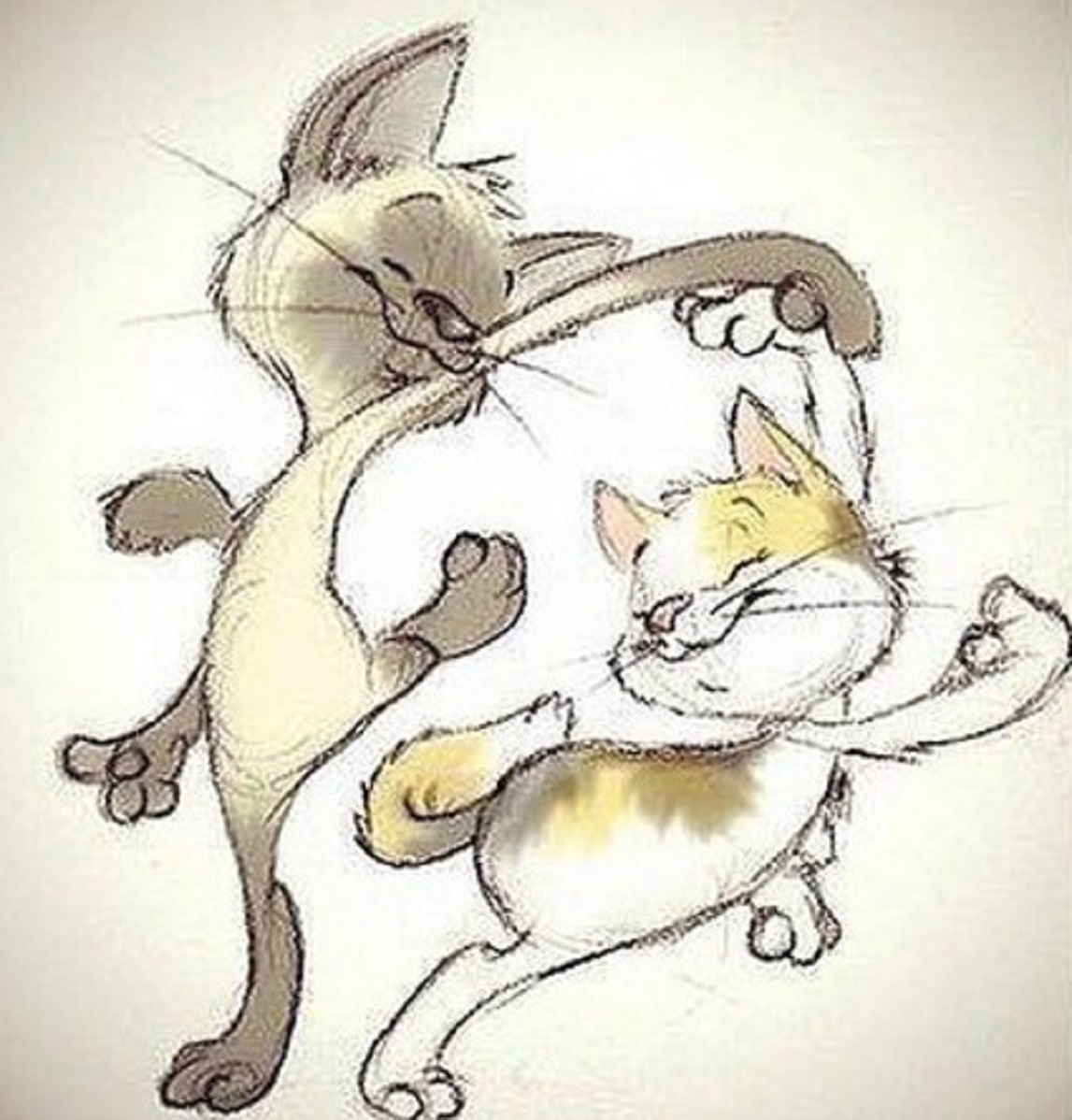 Главное в жизни встретить. Веселые иллюстрации. Рисунки котов. Прикольные рисунки. Влюбленные кошки.