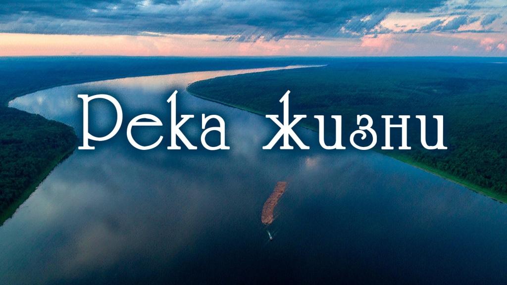 Река жизни фото