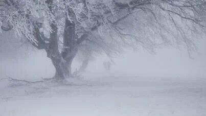 Потерянное детство