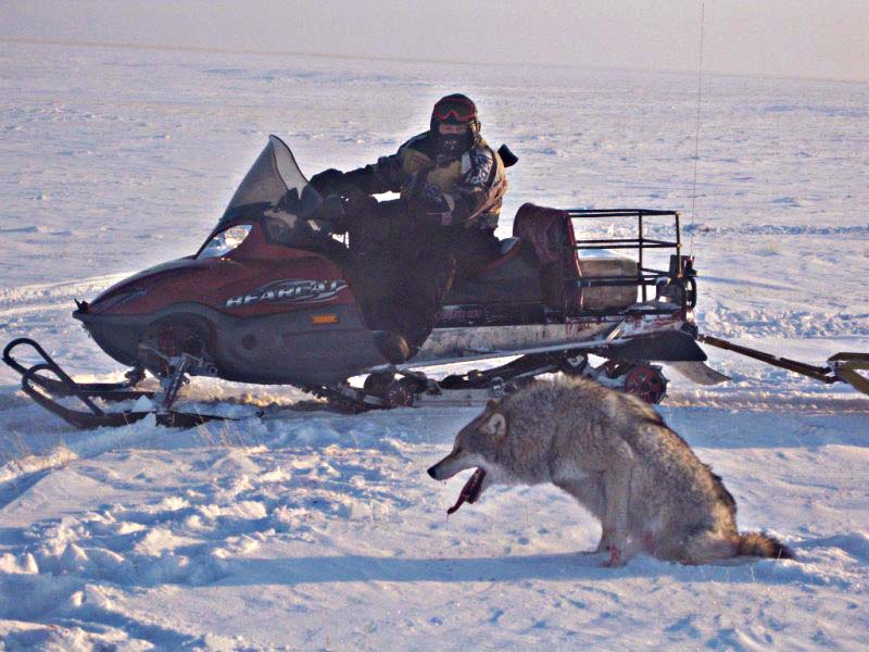 Охота на снегоходе