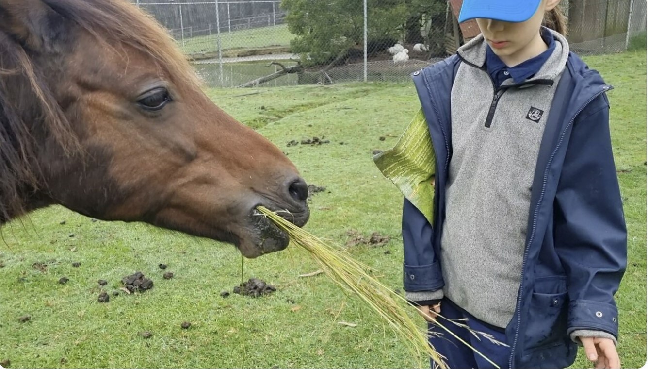 Поговори со мною, мама! О чем-нибудь...