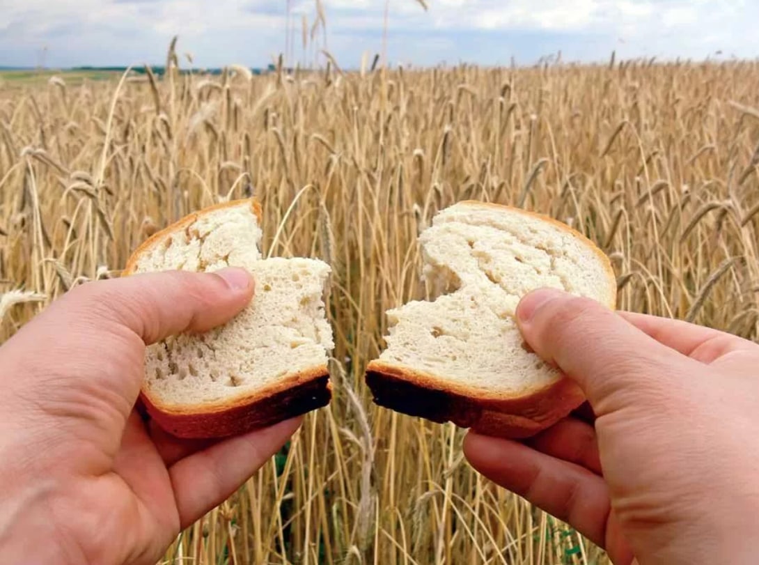 Кидать хлеб. Продовольственная проблема. Недостаток продовольствия. Нехватка продуктов питания.