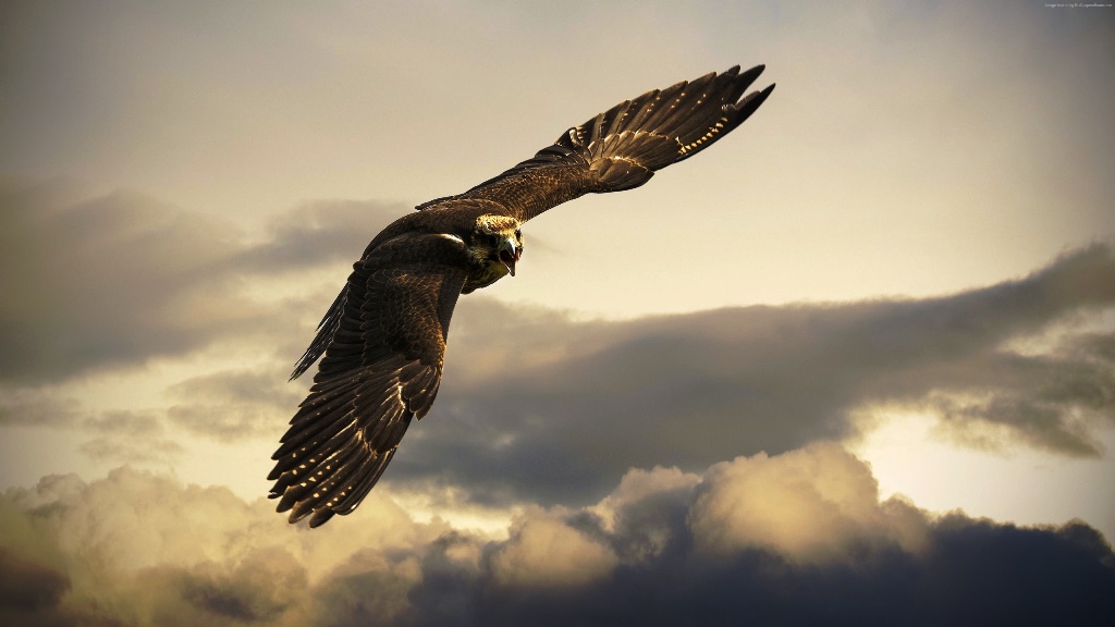 Альманах Прионтина. Галина Куриленко